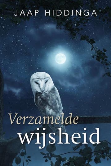 Verzamelde Wijsheid | Jaap Hiddinga | Nieuw, Ophalen of Verzenden, Nieuw, Jaap Hiddinga