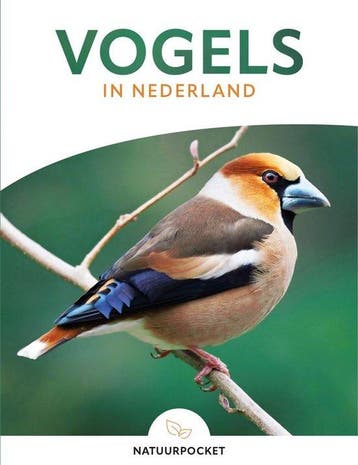 Vogels in Nederland pocketboek in kleur - R&B 9789039630570, Verzenden, Zo goed als nieuw, R&B