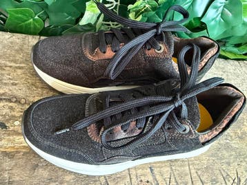 Nieuwe sneakers van Xsensible maat 38 (wijdte G), Kleding | Dames, Schoenen, Xsensible, Bruin, Nieuw, Ophalen of Verzenden