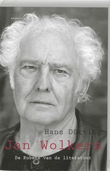 Jan Wolkers - H. Dütting 9789059116436, Verzenden, Gelezen, H. Dütting