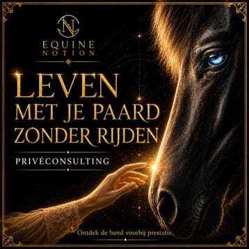 Leven voorbij het rijden · Privéconsulting, Stalling of Weidegang