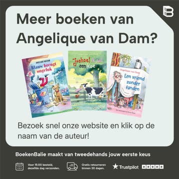 Het geheim van de wifi / Het geheim van... - Angelique van, Boeken, Verzenden, Zo goed als nieuw, Angelique van Dam