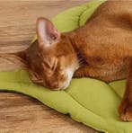 Bladvorm Kattenbed –Zachte Antislip Slaapmat en Wasbaar Klee, Verzenden, Nieuw