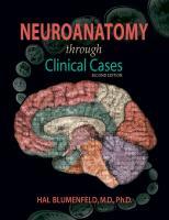 Neuroanatomy Through Clinical Cases Second Edi 9780878936137, Boeken, Studieboeken en Cursussen, Zo goed als nieuw
