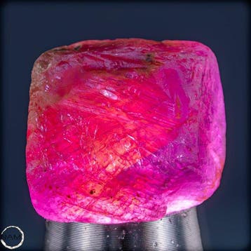 Natuurlijke zeldzame Padparadscha-saffier – Ruw kristal met