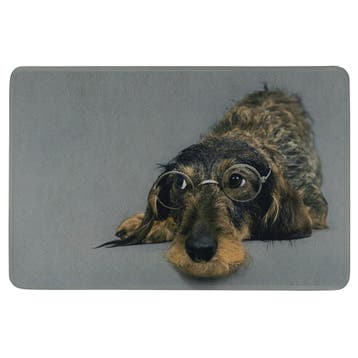 deurmat humor ruwharige teckel bril 75x50cm, Verzenden, Nieuw