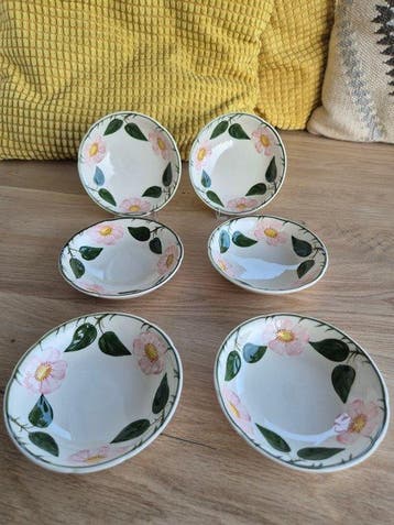 Villeroy & Boch - Dessertservies (6) - Wild-Rose, Wildrose -