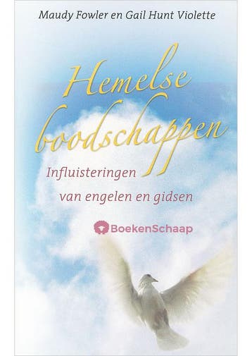 Hemelse boodschappen Gail Hunt Violette, Maudy Fowler, Verzenden, Gelezen