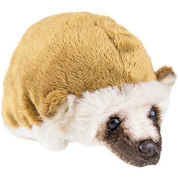 Pluche egel knuffel - 15 cm - zacht speelgoed, Verzenden, Nieuw