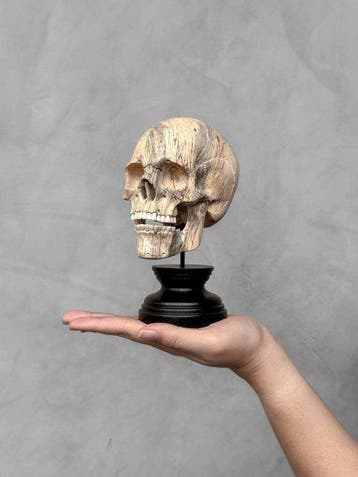 Stunning Wooden Human Skull With A Beautiful Grain -