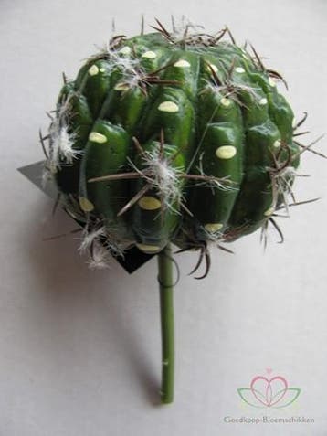 Cactus Small Ball Groen Latex Zijde per stuk, Ophalen of Verzenden, Nieuw