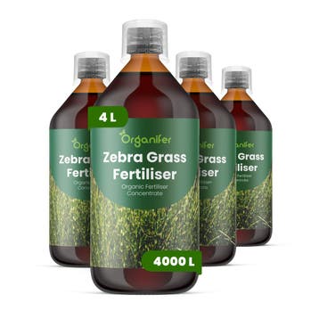 Vloeibare meststof voor zebragras - Set 4x1 liter, Verzenden, Mest