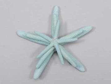 Zeester Starfish Blauw ca. 5-10 cm Set van 3 stuks, Ophalen of Verzenden, Nieuw