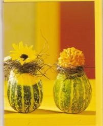 Kaart M 42, Diversen, Wenskaarten, Nieuw, Ophalen of Verzenden