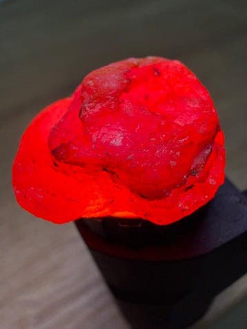 Robijn Prachtige duivenbloed robijn! 51,03 ct. Mozambique, Verzamelen