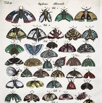 Matthäus Merian (1593-1650) - hand coloured engraving:, Antiek en Kunst