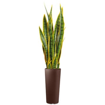 Sansevieria kunstplant, H115cm, Ophalen of Verzenden, Overige soorten, 100 tot 150 cm
