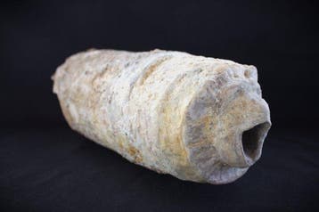 Oud-Romeins Romeinse terracotta pijp met leeuwenkop-gargoyle