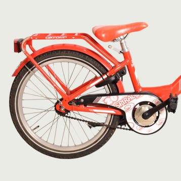 BikeFlip kinderfiets 20 inch, Ophalen of Verzenden, Gebruikt, BikeFlip