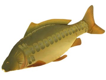 Spiegelkarper Knuffel / Kussen 70 cm - Karper XL, Watersport en Boten, Hengelsport | Karpervissen, Verzenden, Nieuw, Overige typen