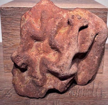 Djenne terracota fragment - Figuur - Mali