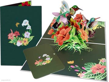 Prachtig! Kolibries, Aronskelken & Amarylissen Bloemen po..., Verzenden, Nieuw