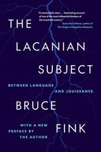 9780691272917 The Lacanian Subject Bruce Fink, Verzenden, Nieuw, Bruce Fink