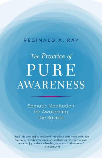 Practice of Pure Awareness - Reginald Ray 9781611803815, Verzenden, Gelezen, Reginald Ray