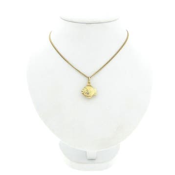 Gouden hanger van een vis (Hanger of bedel), Ophalen of Verzenden, Gebruikt, Goud, Overige merken
