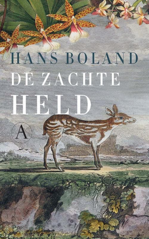 De zachte held - Hans Boland 9789025303624, Boeken, Romans, Gelezen, Verzenden