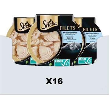 16x Sheba Kattenvoer Nat Filets in Saus Witvis 60gr, Verzenden, Kat