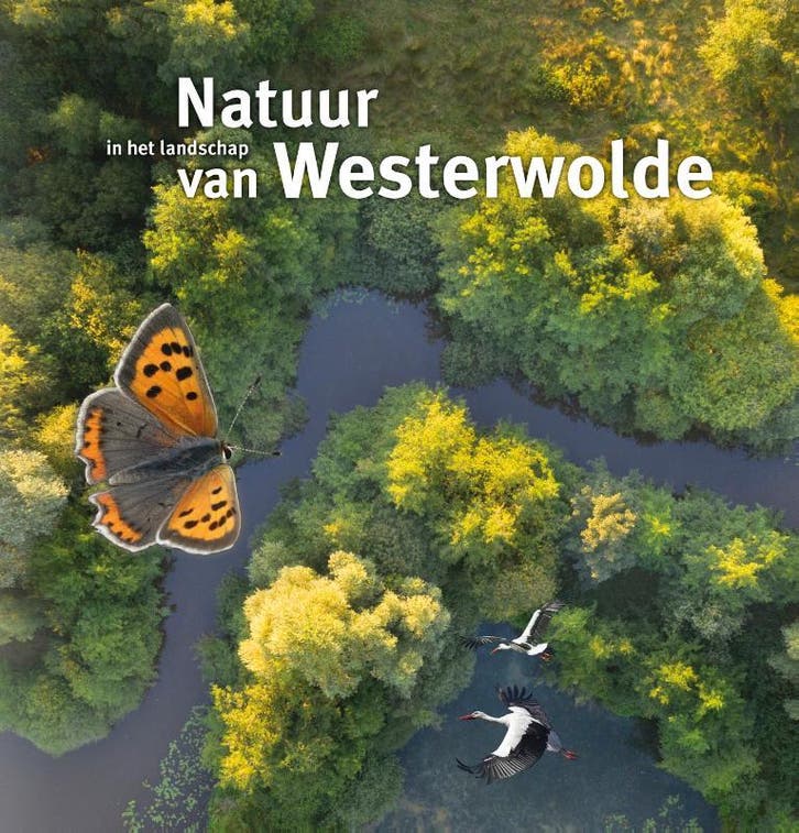 Natuur In Het Landschap Van Westerwolde |  | Nieuw, Boeken, Natuur, Nieuw, Ophalen of Verzenden