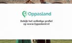 Manon zoekt een oppas in Haarlem voor 2 kinderen voor 5 d...