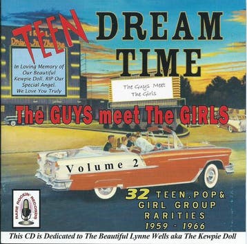 cd - Various - Teen Dream Time Volume 2, Verzenden, Zo goed als nieuw