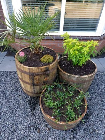 Halve whiskyvaten - bloembakken - ROBUUST, Tuin en Terras, Rond, Nieuw, Ophalen of Verzenden, Balkon