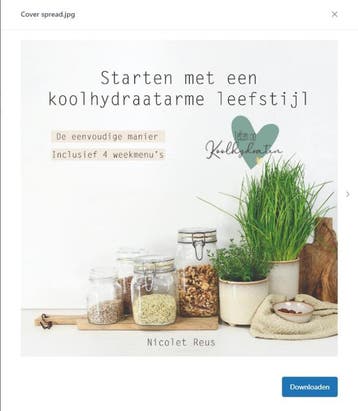 Letten op Koolhydraten - Starten met een koolhydraatarme, Verzenden, Zo goed als nieuw, Nicolet Reus