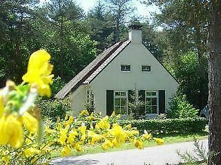 Vakantiehuis waldhuske 98 Drents-Friese-Wold Diever +WIFI, In bos, Huisdier toegestaan, 2 slaapkamers, Recreatiepark