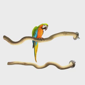 Natuurlijke Houten Papegaai Zitstok Tak - Vogelkooi Accessoi