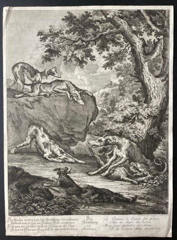 Johann Elias Ridinger (1698-1767) - Pointer dogs fight over