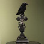 Kraai op Kruis Taxidermie Opgezette Dieren By Max, Ophalen of Verzenden, Nieuw, Vogel, Opgezet dier