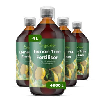 Citroenboom Vloeibare meststof - Set 4x1 liter, Verzenden, Mest