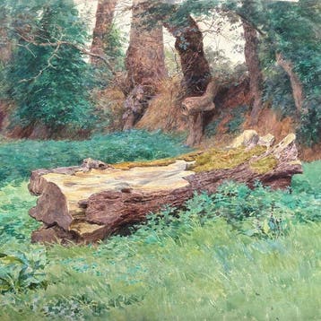 Jules Girardet (1856-1938) - Paysage à l’arbre - Souche, Antiek en Kunst