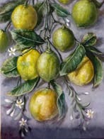 Domenico Marrazzo (1956) - Dalla finestra del mio studio