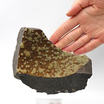Gele calciet-sferen op donker basalt, Italië Kristallen op