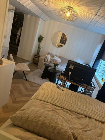 Te huur: Kamer Lange Mare in Leiden