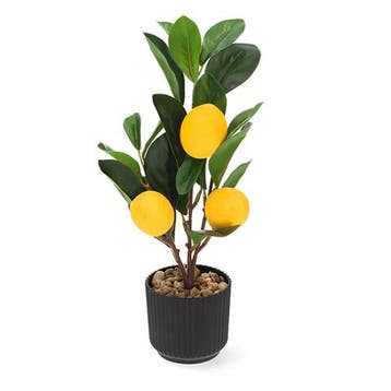 Kunstplant Citroenboom | Decoris | 27 cm (In pot), Verzenden, Nieuw