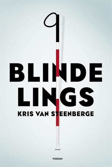 Blindelings - Kris Van Steenberge 9789057597817, Verzenden, Gelezen, Kris Van Steenberge