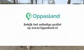 Cynthia zoekt een oppas in Putten voor 2 kinderen.