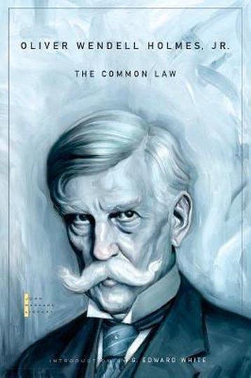 The Common Law - Oliver Wendell Holmes 9780674034020, Verzenden, Gelezen, Oliver Wendell Holmes