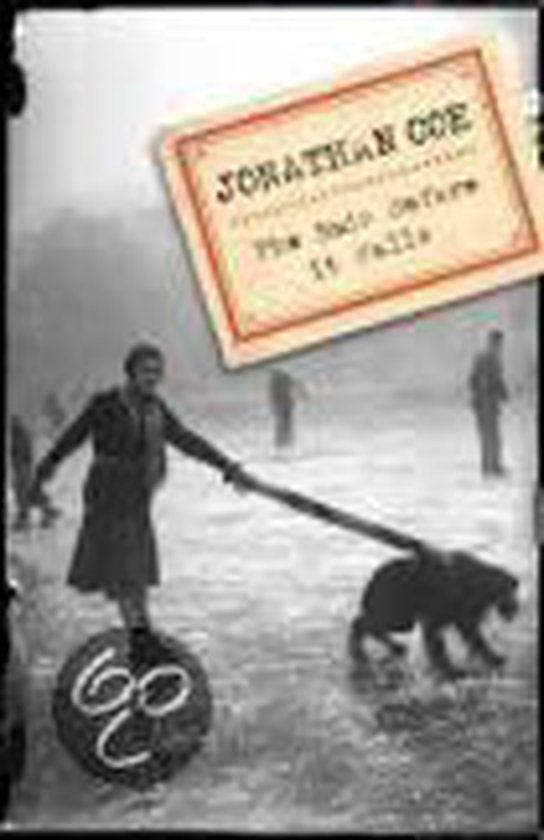 The Rain Before It Falls, Boeken, Literatuur, Ophalen of Verzenden